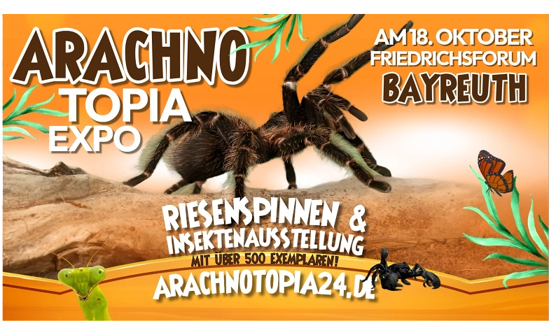 Riesenspinnen & Insektenausstellung - Bayreuth · Bild 1