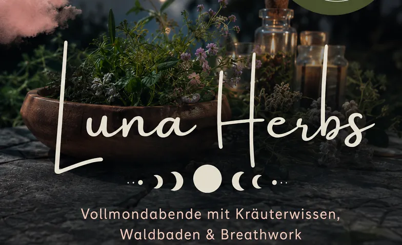 Luna Herbs Baldrian - Ein Abend. Der Mond. Zeit für dich. · Bild 1