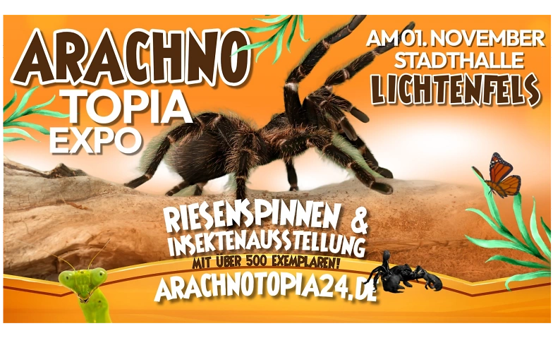 Riesenspinnen & Insektenausstellung - Lichtenfels Stadthalle · Bild 1