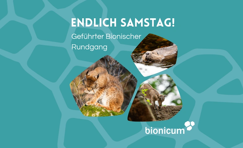 Endlich Samstag! Führung bionischer Rundgang im Tiergarten · Bild 1