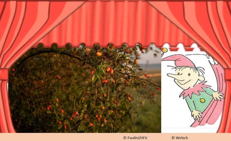 Puppentheater in der Umweltstation · Bild 1