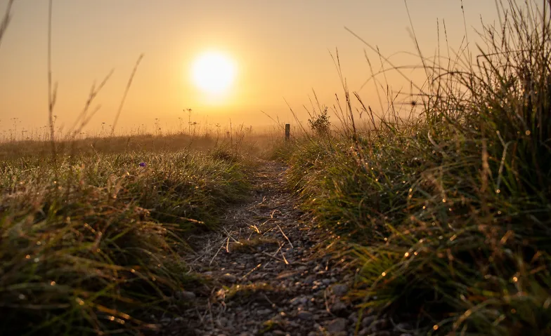 Führung durch die Ausstellung "Heide im Licht" · Bild 1