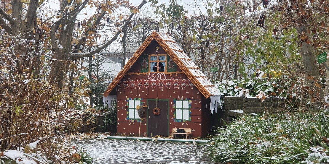 Advent im Botanischen Garten · Bild 1