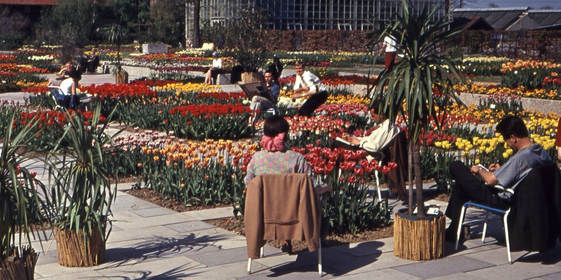 90 Jahre Botanischer Garten Augsburg – eine Zeitreise · Bild 1