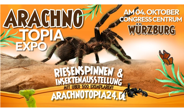 Riesenspinnen & Insektenausstellung - Würzburg CCW · Bild 1