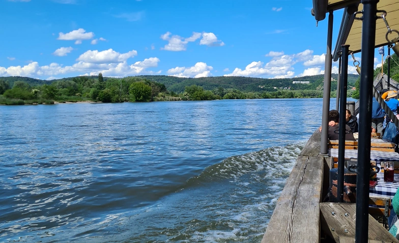 Expedition Donaualtwasser · Bild 1