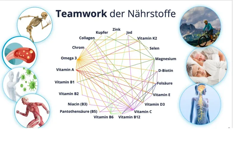 Energie aus jeder Zelle - Teamwork der Nährstoffe · Bild 1
