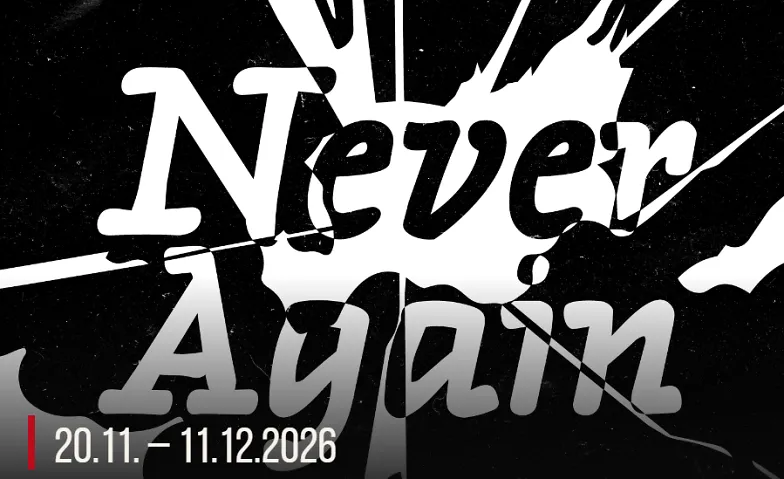 Deutsch-tschechische Posterausstellung: Never again! · Bild 1