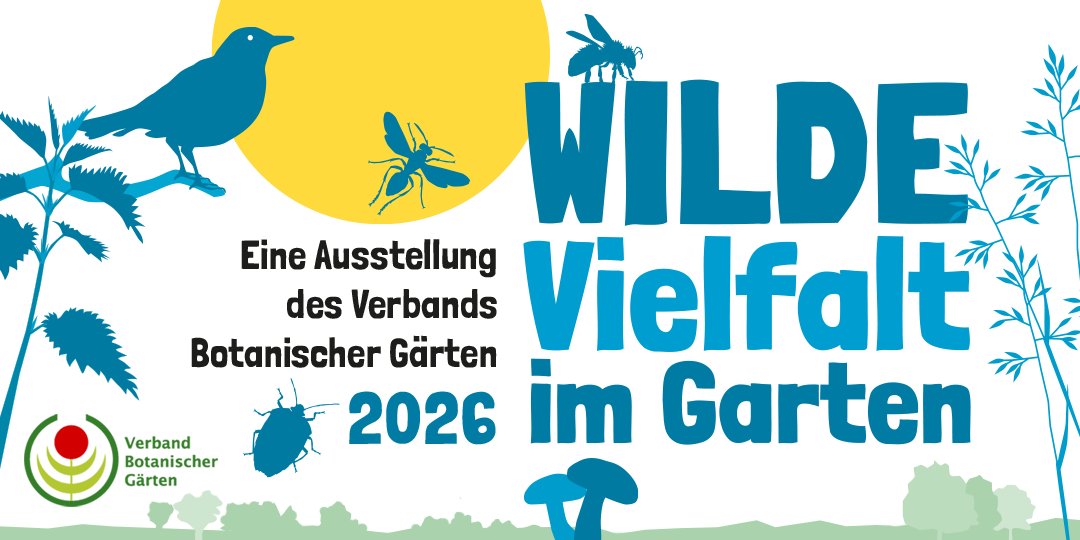 Wilde Vielfalt im Garten · Bild 1