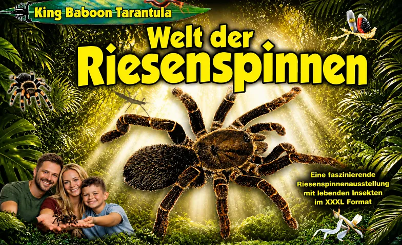 Welt der Riesenspinnen · Bild 1