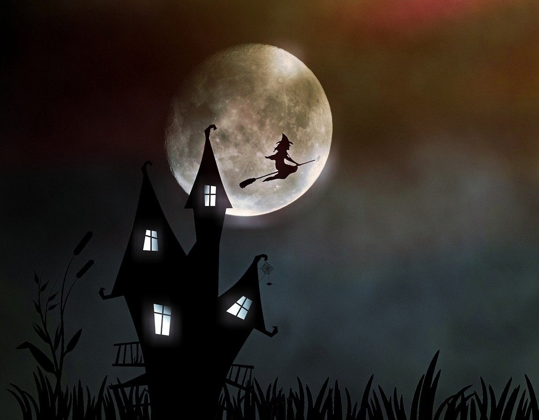 Halloween in der Bücherei · Bild 1