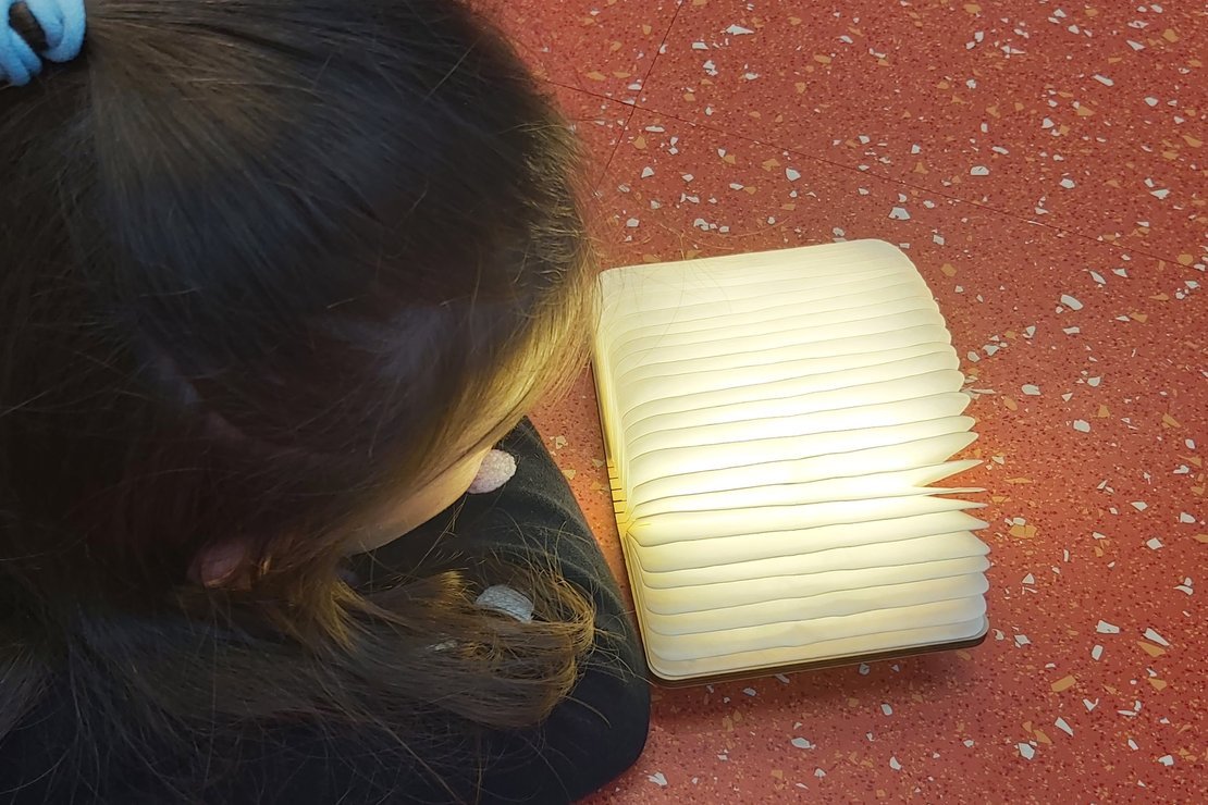 BibliotECO: Bilderbuchkino mit Upcyling Basteln - Wie feiern Wiesel Weihnachten? · Bild 1