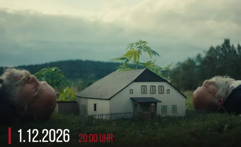 Film: Es ist besser, in der Wildnis verrückt zu werden · Bild 1