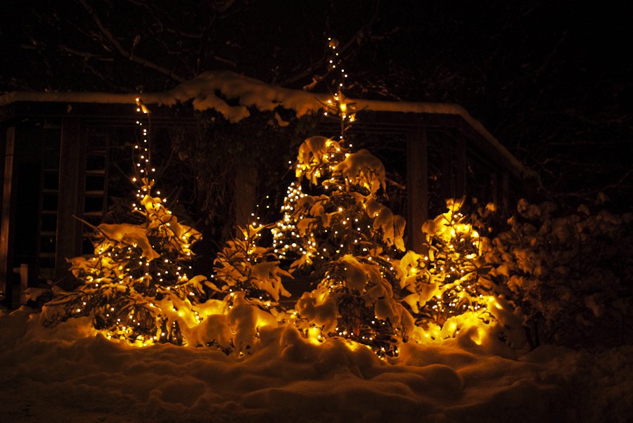Mit der Taschenlampe zur Krippe · Bild 1