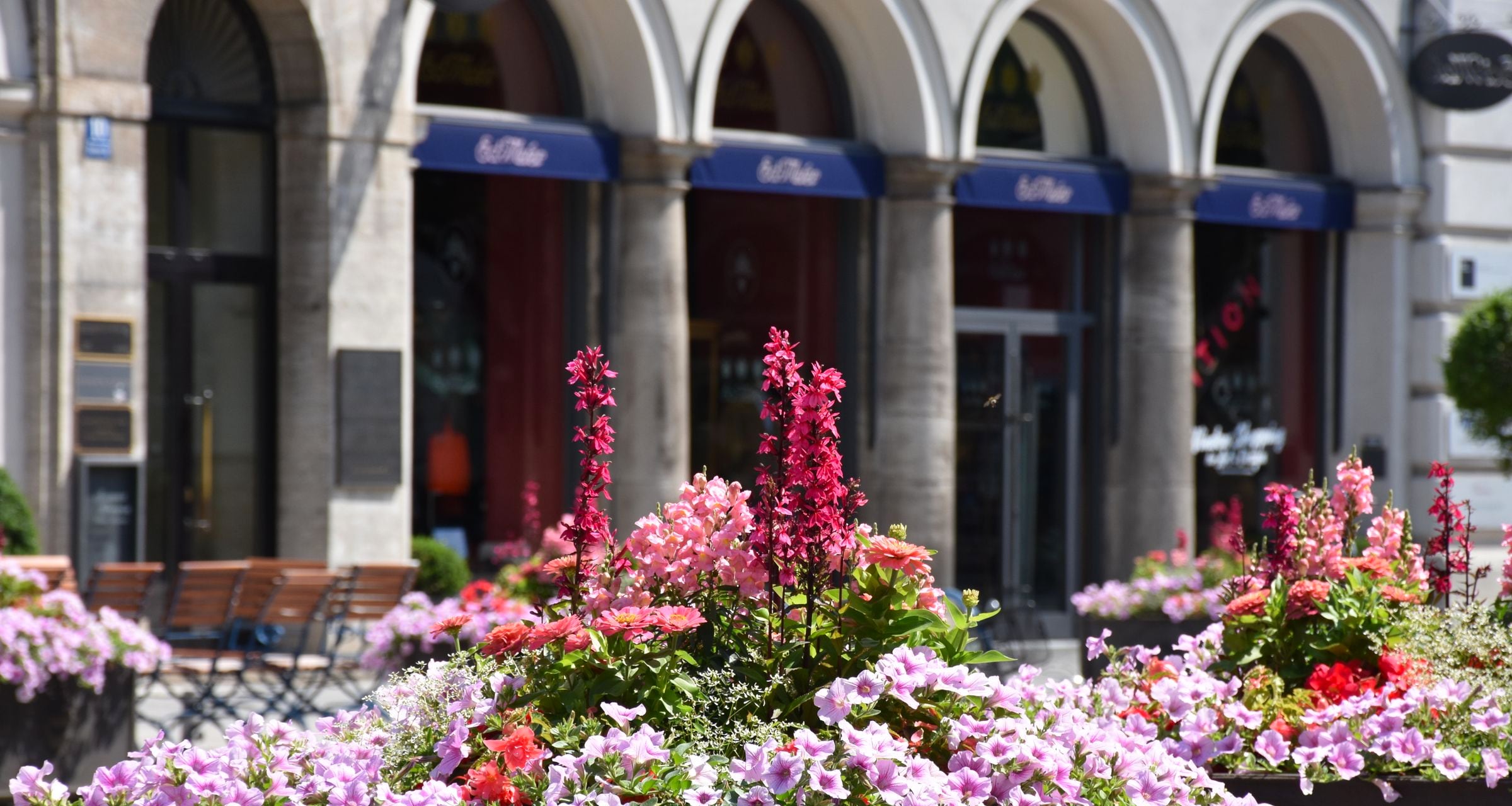 Münchner Straßenszene mit Arkaden und Blumenkästen